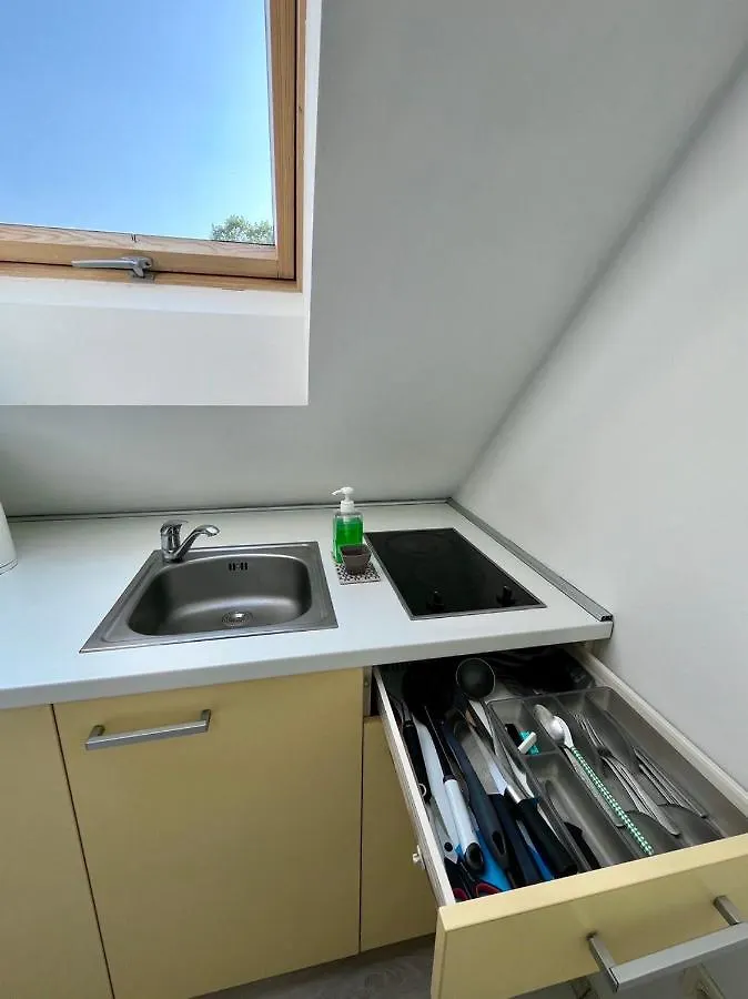 Apartment In The Center Of Ljubljana